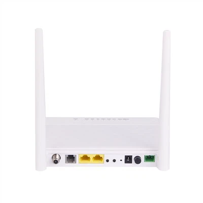 1GE 2.4 GWIFI CAV